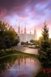 Washington DC Temple by Alan Fullmer