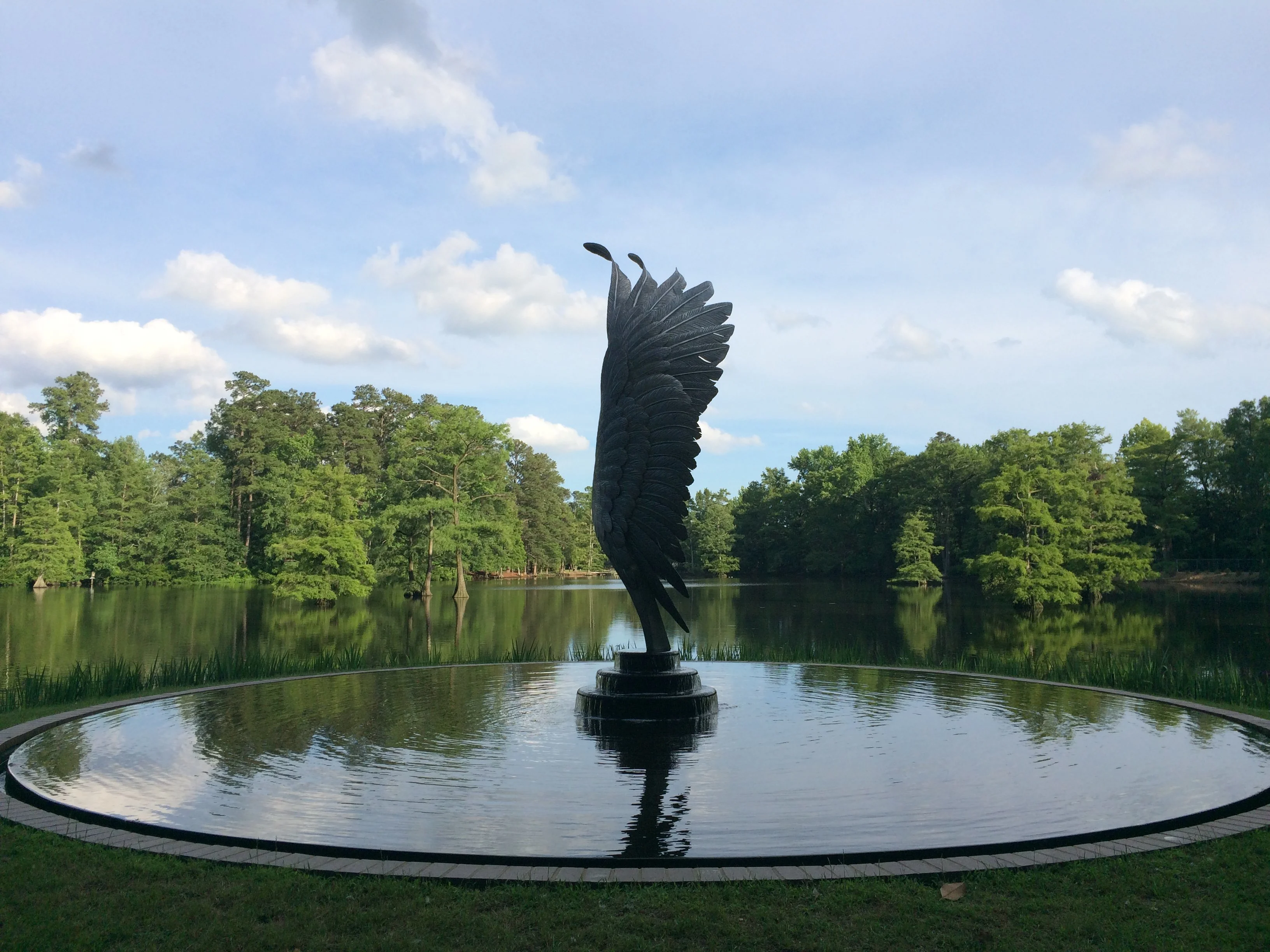 Swan Lake Iris Gardens in Sumter South Carolina. 