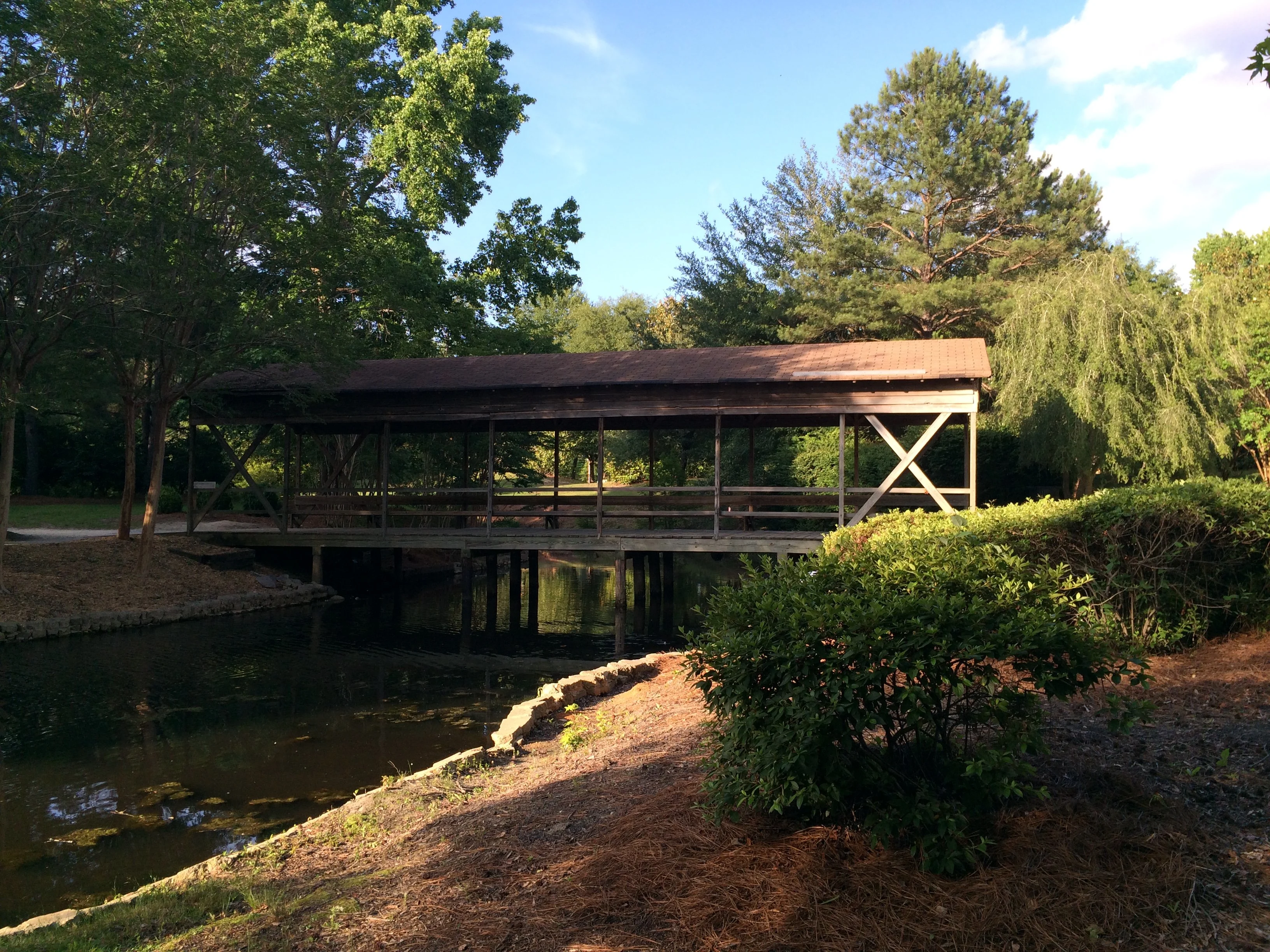 Swan Lake Iris Gardens in Sumter South Carolina.