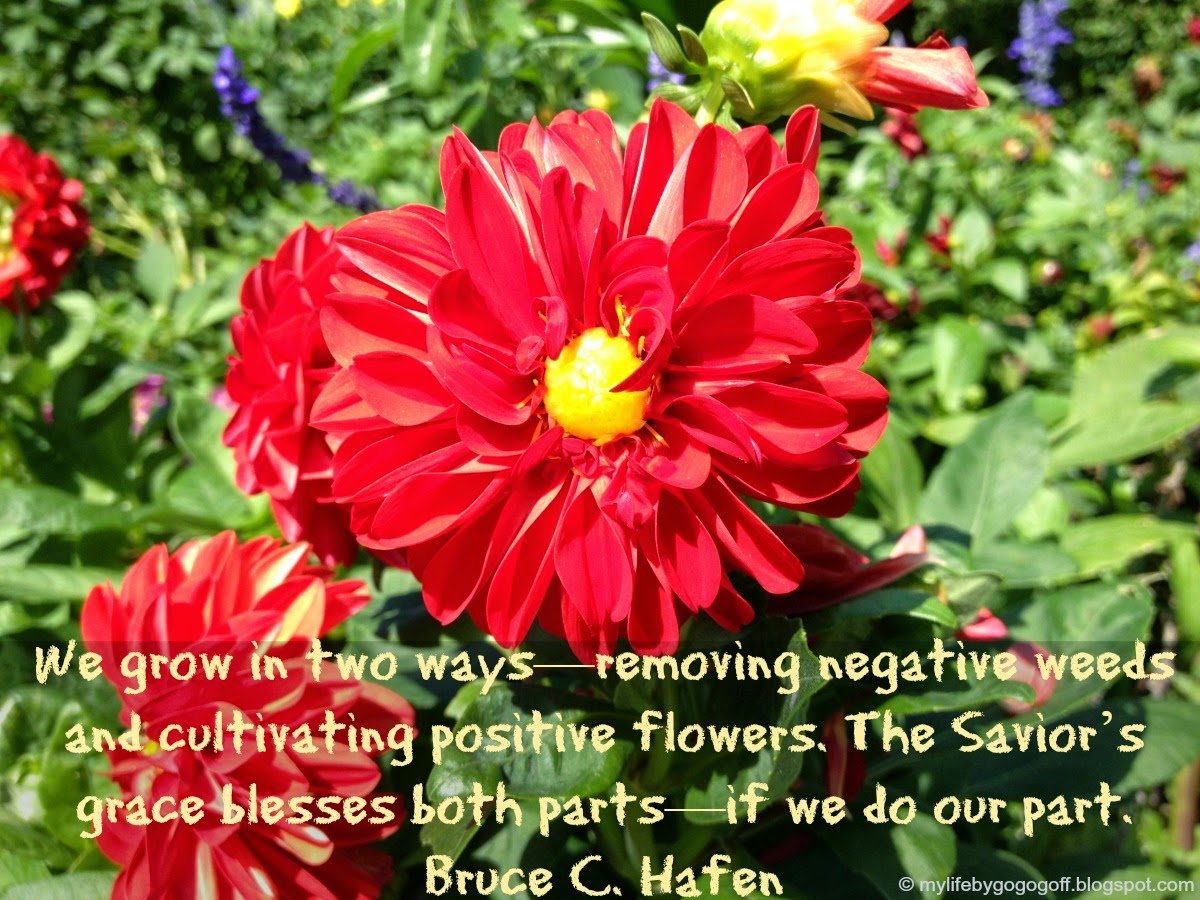Growth and Grace