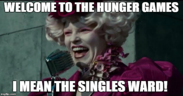 Valentines Day is commonly called "Singles Awareness Day" among singles. Here are 45 memes that describe how LDS singles feel about Valentines Day!