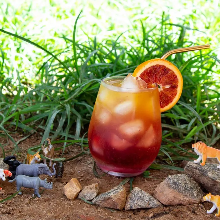 Image for Circle of Life Punch - The Lion King Inspired Drink