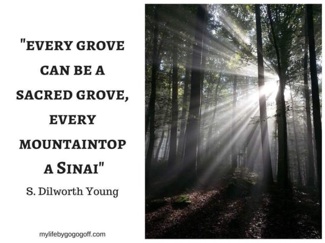 "Every grove can be a sacred grove, every mountaintop a Sinai" S. Dilworth Young