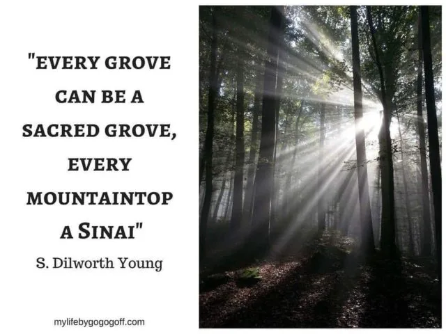"Every grove can be a sacred grove, every mountaintop a Sinai" S. Dilworth Young