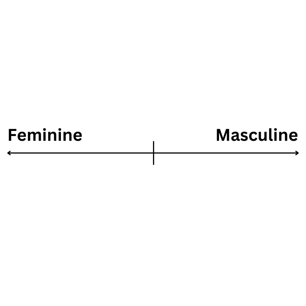 Feminine vs Masculine
